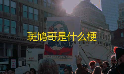 区突围透视辅助功能斑鸠哥是什么梗